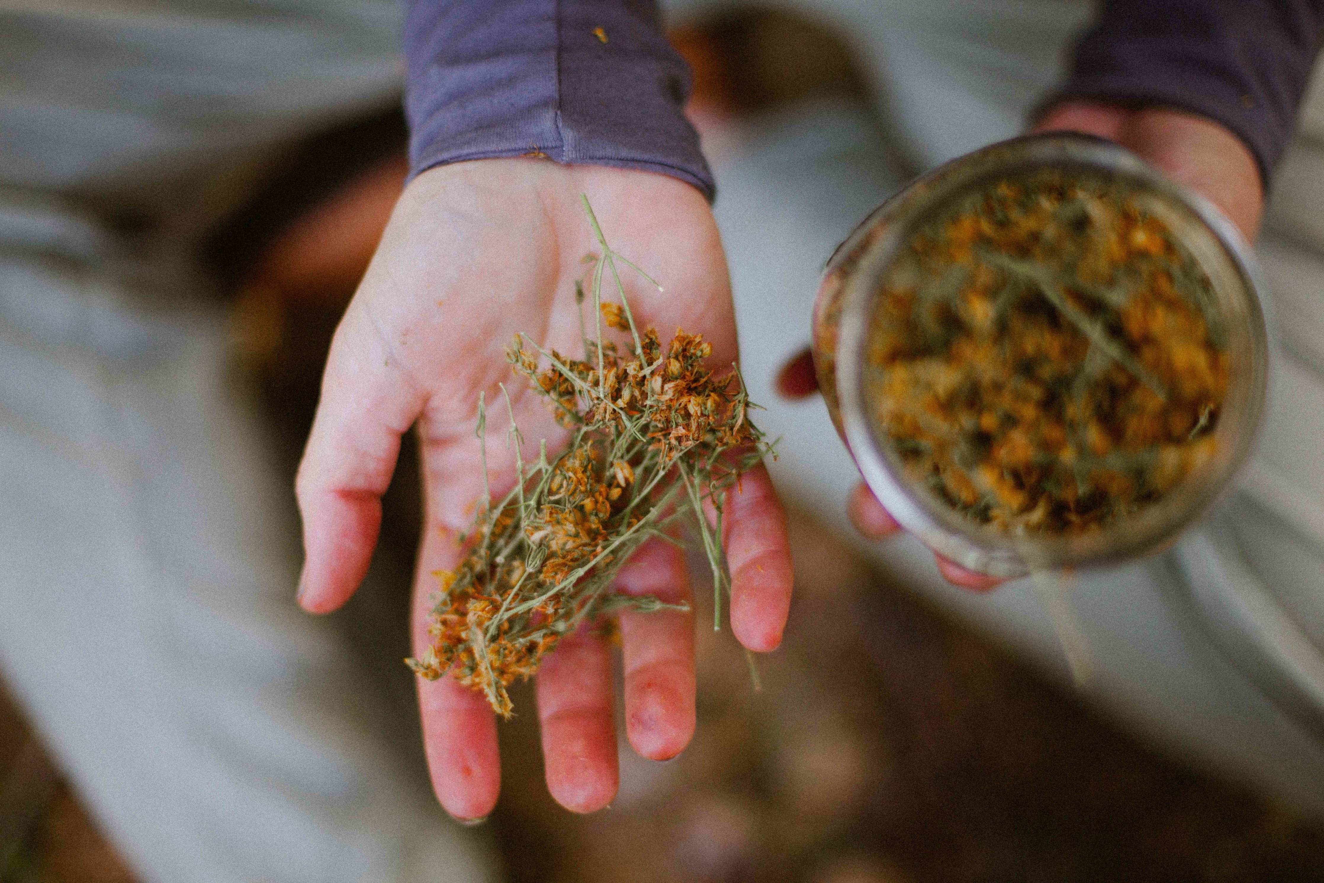 dried flowers