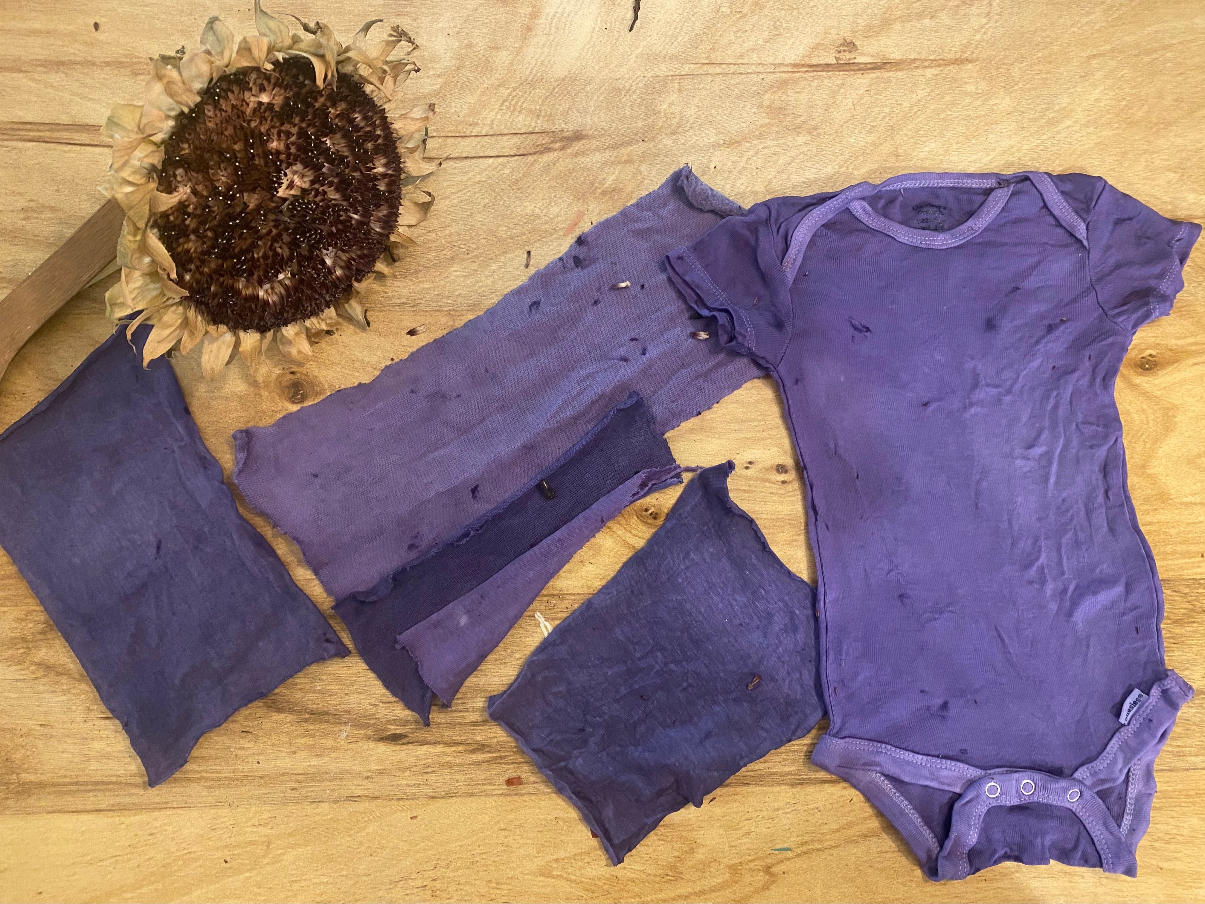 baby onesie and swatches of fabric all dyed in shades of purple with hopi sunflowers laid out on a table with a dried hopi sunflower behind them